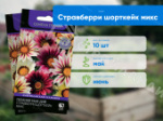 Товар категории Семена цветов: Семена цветов Газания ПОИСК Нью Дэй Стравберри Шорткейк микс 10 шт
